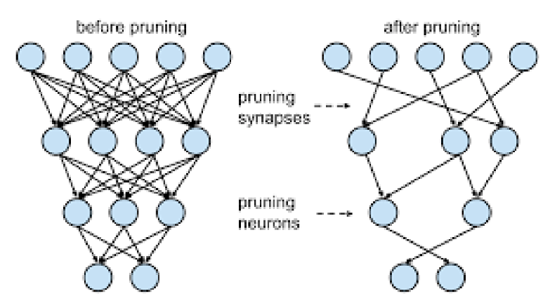 Прунинг. Слева - полносвязная сеть (MLP). Справа - сеть после удаления
связей и некоторых нейронов (его связи с другими
нейронами)